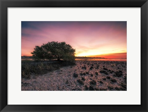 Framed Cedar Key Sunrise Print