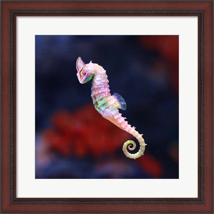 Framed Seameleon Print