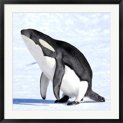 Framed Orcaguin Print