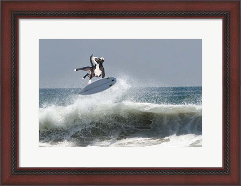 Framed Cowpup Surfing Print