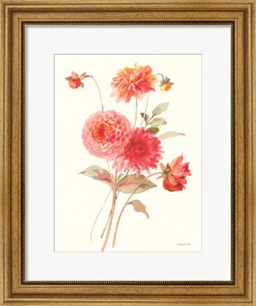 Framed Summer Dahlias I Print