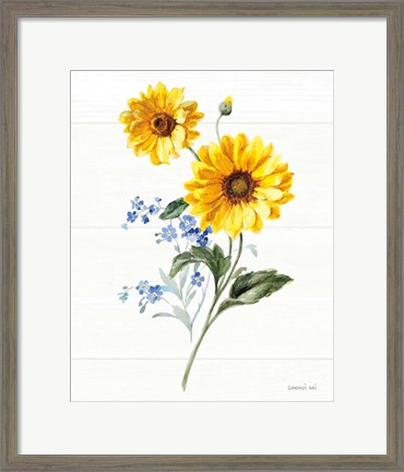 Framed Bees and Blooms Flowers V Print