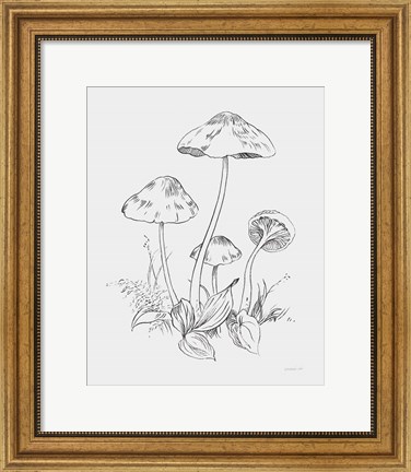 Framed Natures Sketchbook III Bold Light Gray Print