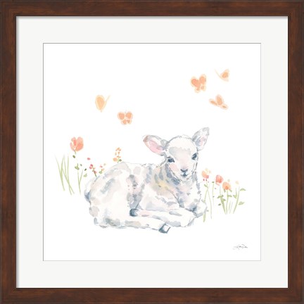 Framed Spring Lambs III Print