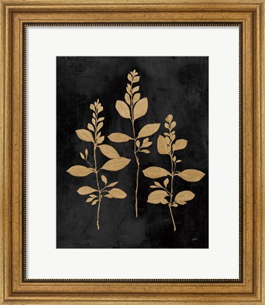 Framed Botanical Sutdy IV GB Print