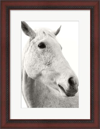 Framed Horse Named Lady II BW Print