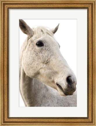 Framed Horse Named Lady II Print