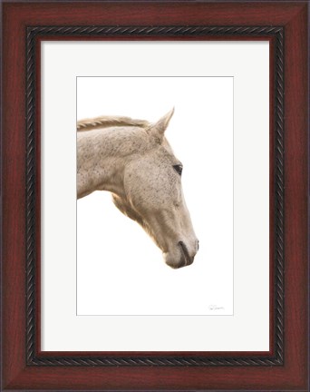 Framed Horse Named Lady I Print