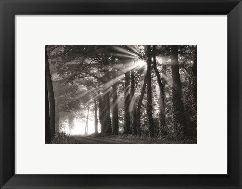 Framed Amazing Rays Print