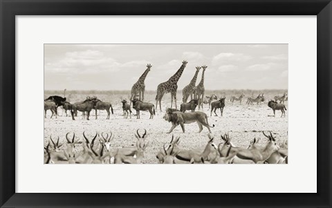 Framed Sovereign Passing By (Masai Mara, BW) Print