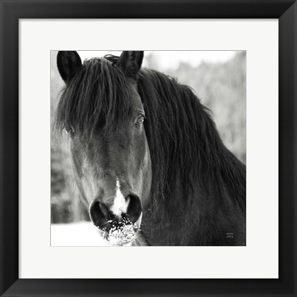 Framed Winter Horse II Print