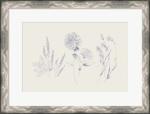 Framed Flowers on White VIII Blue Print