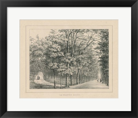 Framed French Park Etching II Print