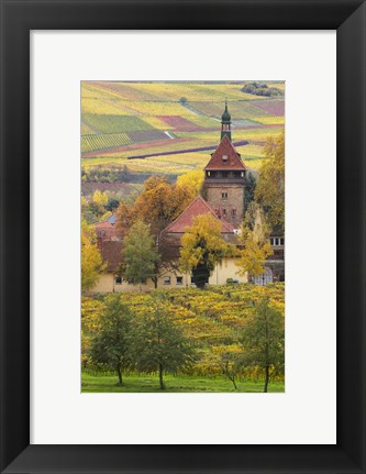Framed Church And Vineyards, Germany Print