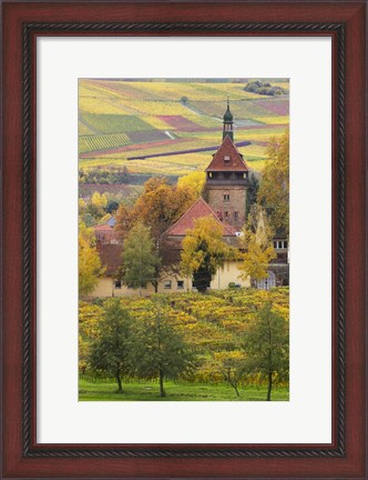 Framed Church And Vineyards, Germany Print
