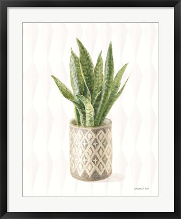 Framed Desert Greenhouse XVI Print