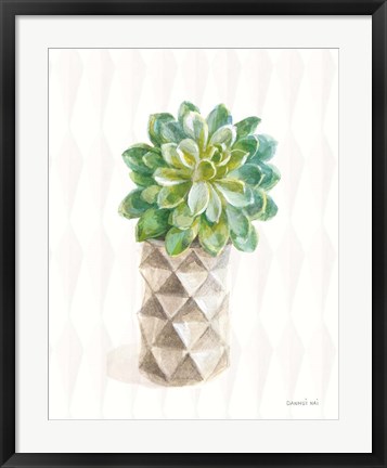 Framed Desert Greenhouse XVIII Print