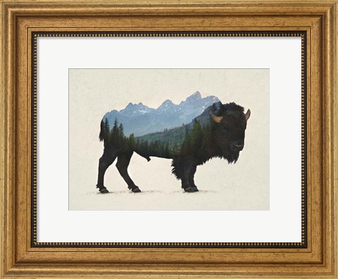 Framed Grand Teton Bison Print