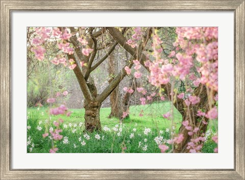 Framed Springtime Fairytale Cherry Tree Print
