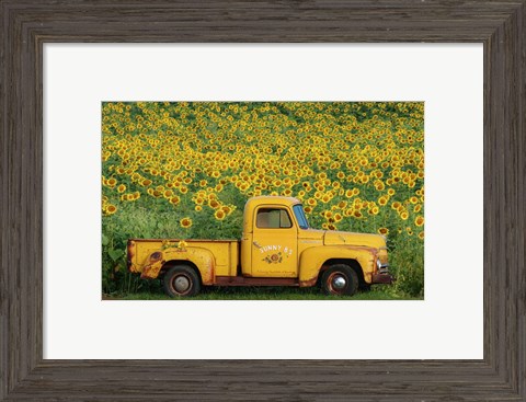 Framed Yellow Vintage Sunflower Truck Print