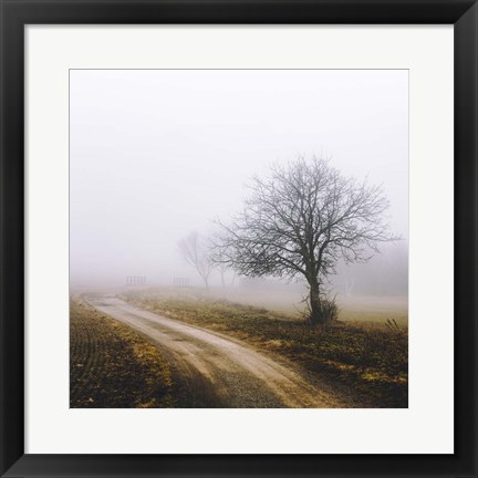 Framed Lonely Tree In The Mist Print