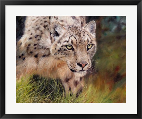 Framed Snow Leopard 4 Print