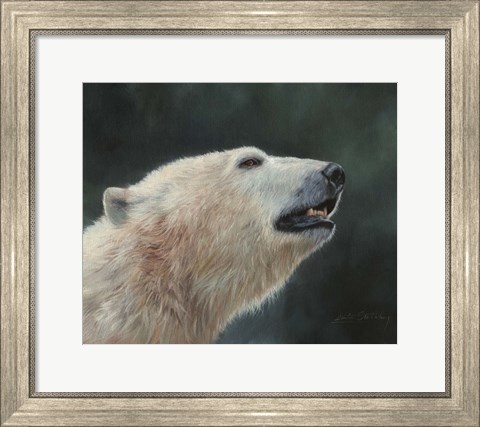 Framed Polar Bear Portrait Print