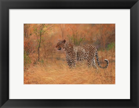 Framed Leopard In The African Bush 2 Print