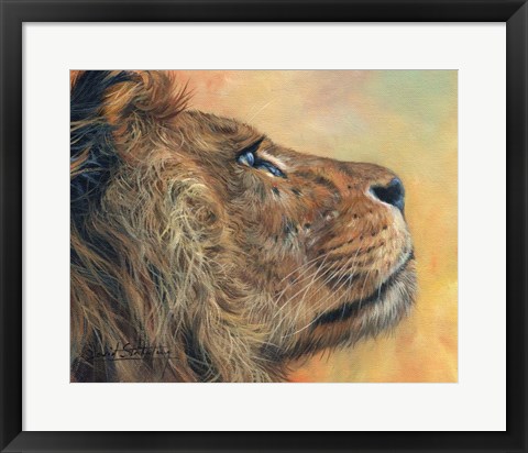 Framed Lion Profile Print