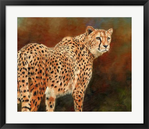 Framed Cheetah10 Print