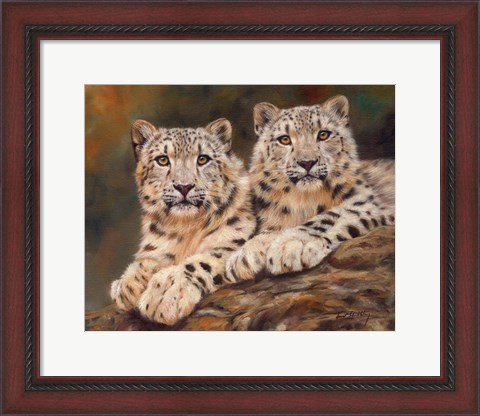 Framed Snow Leopards Print