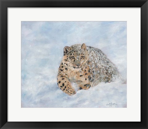 Framed Snow Leopard Final Print