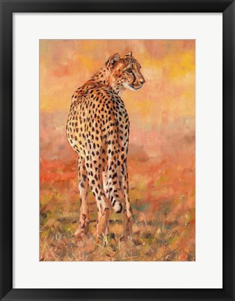 Framed Cheetah Midday Sun Print