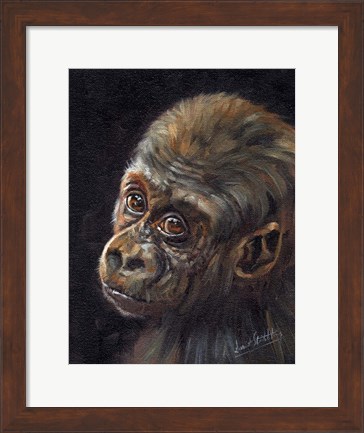 Framed Baby Gorilla Print