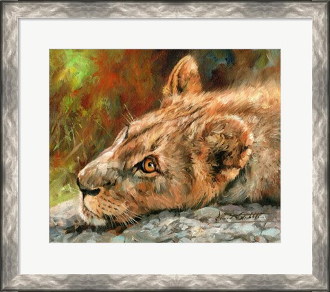 Framed Lion Cub Laying Down Print