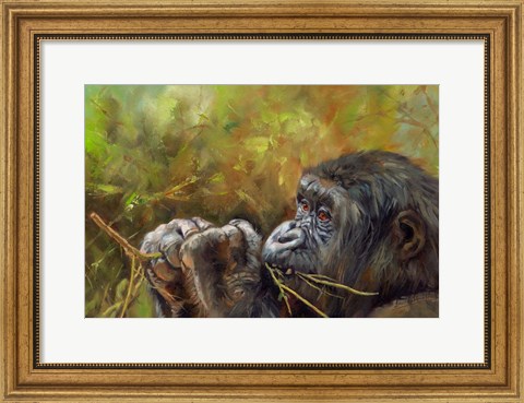 Framed Young Lowland Gorilla Print