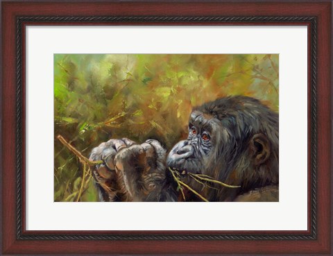 Framed Young Lowland Gorilla Print