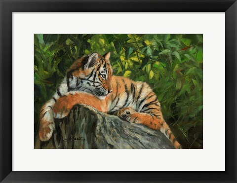 Framed Tiger On Rock Print