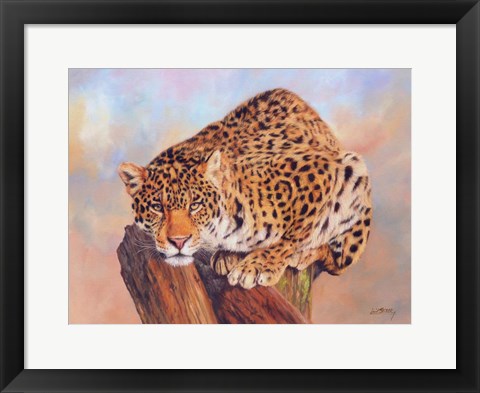 Framed Jaguar On Tree Stump Print