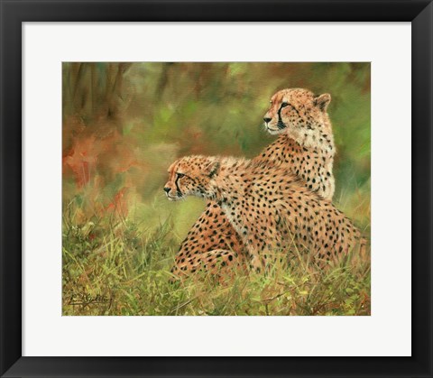 Framed Cheetah Siblings Print