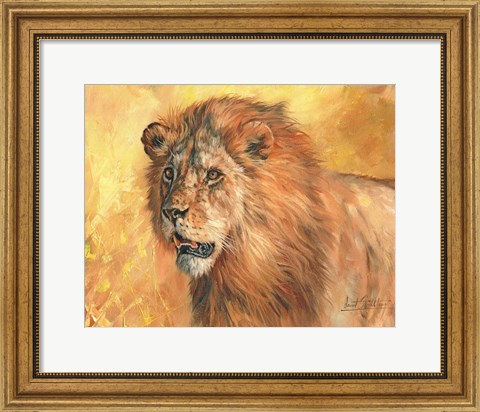 Framed Mane Lion Print