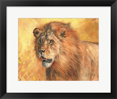 Framed Mane Lion Print