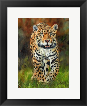 Framed Jaguar Walk Print