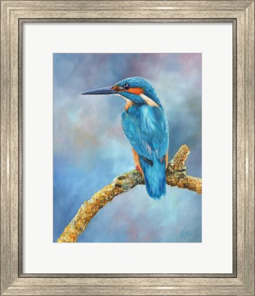 Framed Kingfisher Brilliant Blue Print