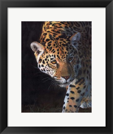 Framed Jaguar Portrait 2 Print