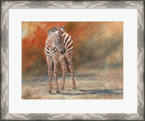 Framed Zebra Foal Standing Print