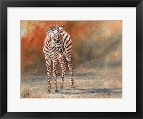 Framed Zebra Foal Standing Print