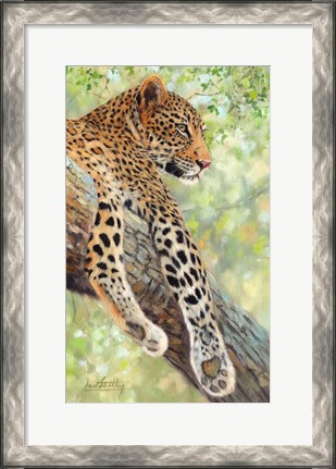Framed Leopard Tree Print