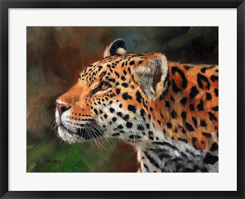 Framed Jaguar Print
