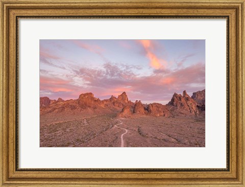 Framed Kofa Sunset Print